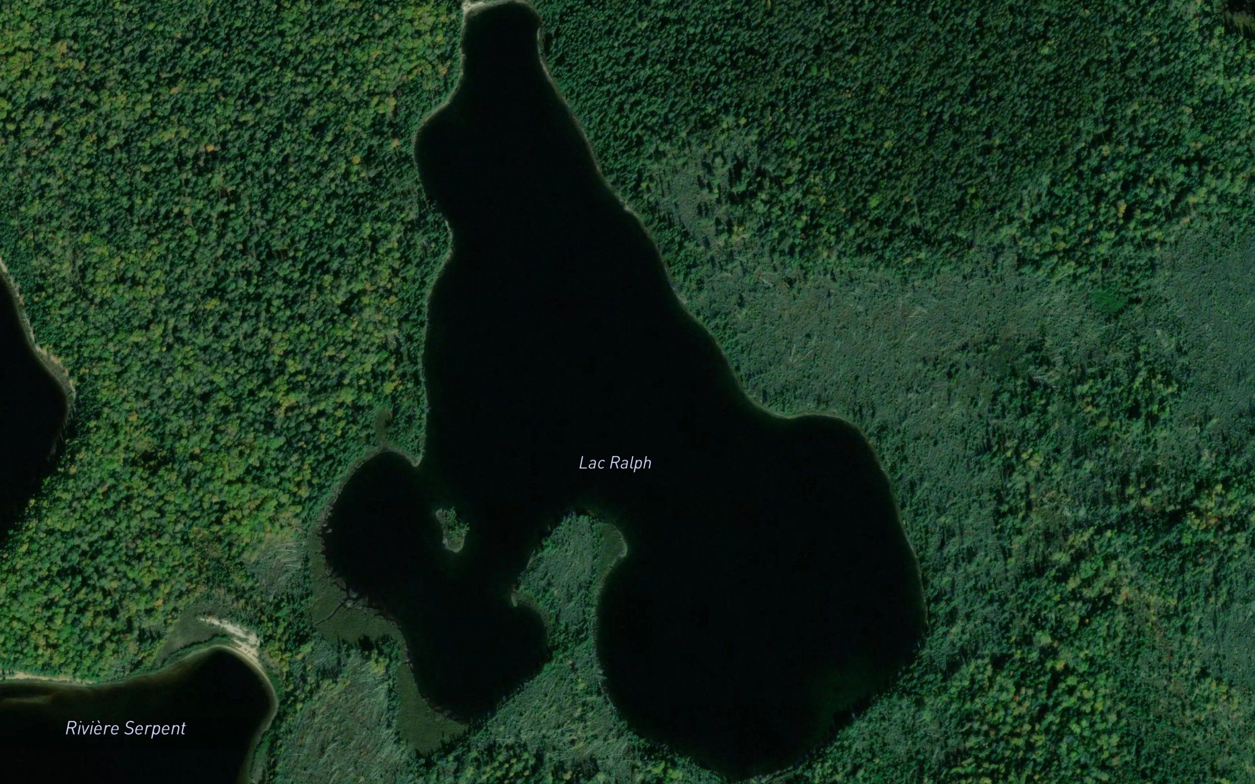 Lac Ralph