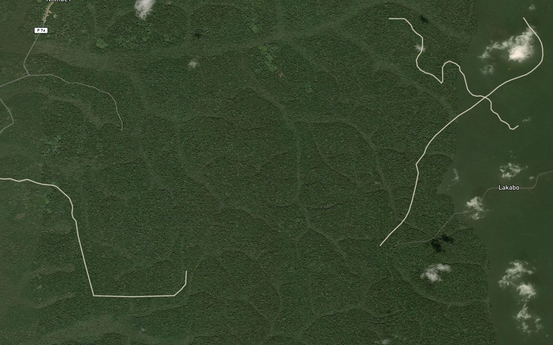 Satellite map of the Mwamenguha
