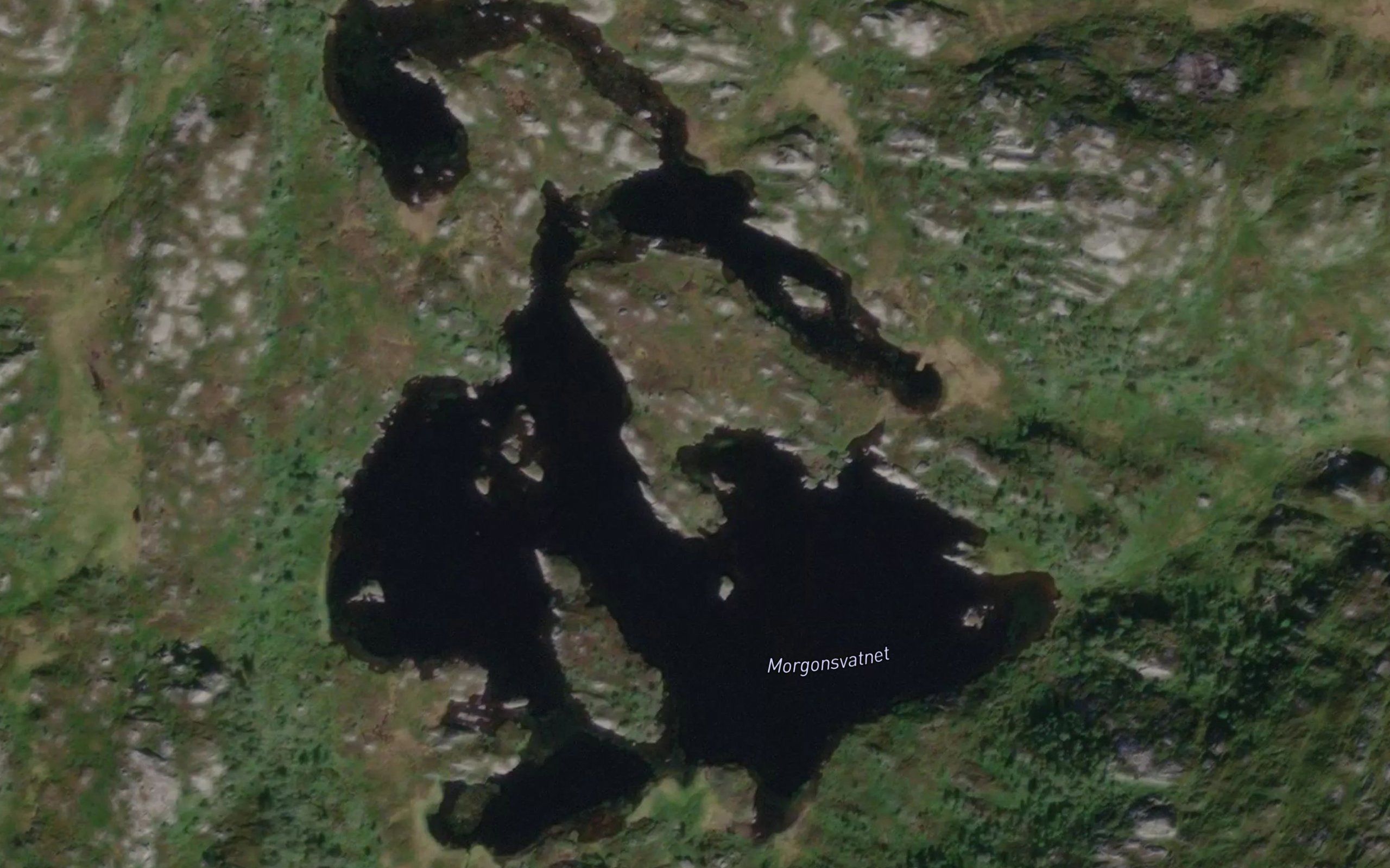 Morgonsvatnet