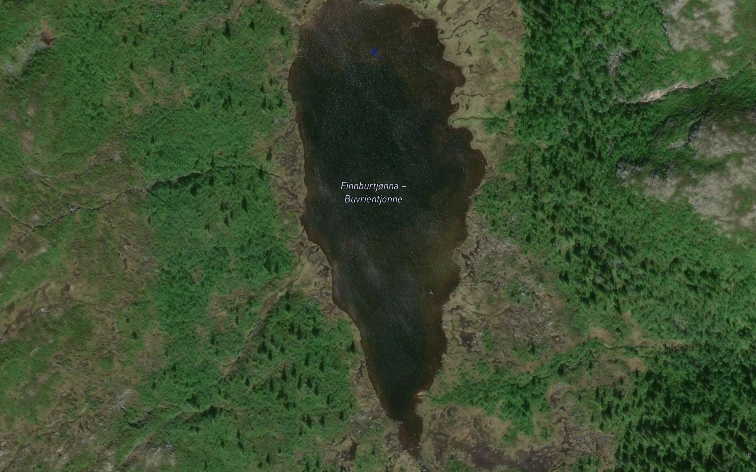 Finnburtjorna