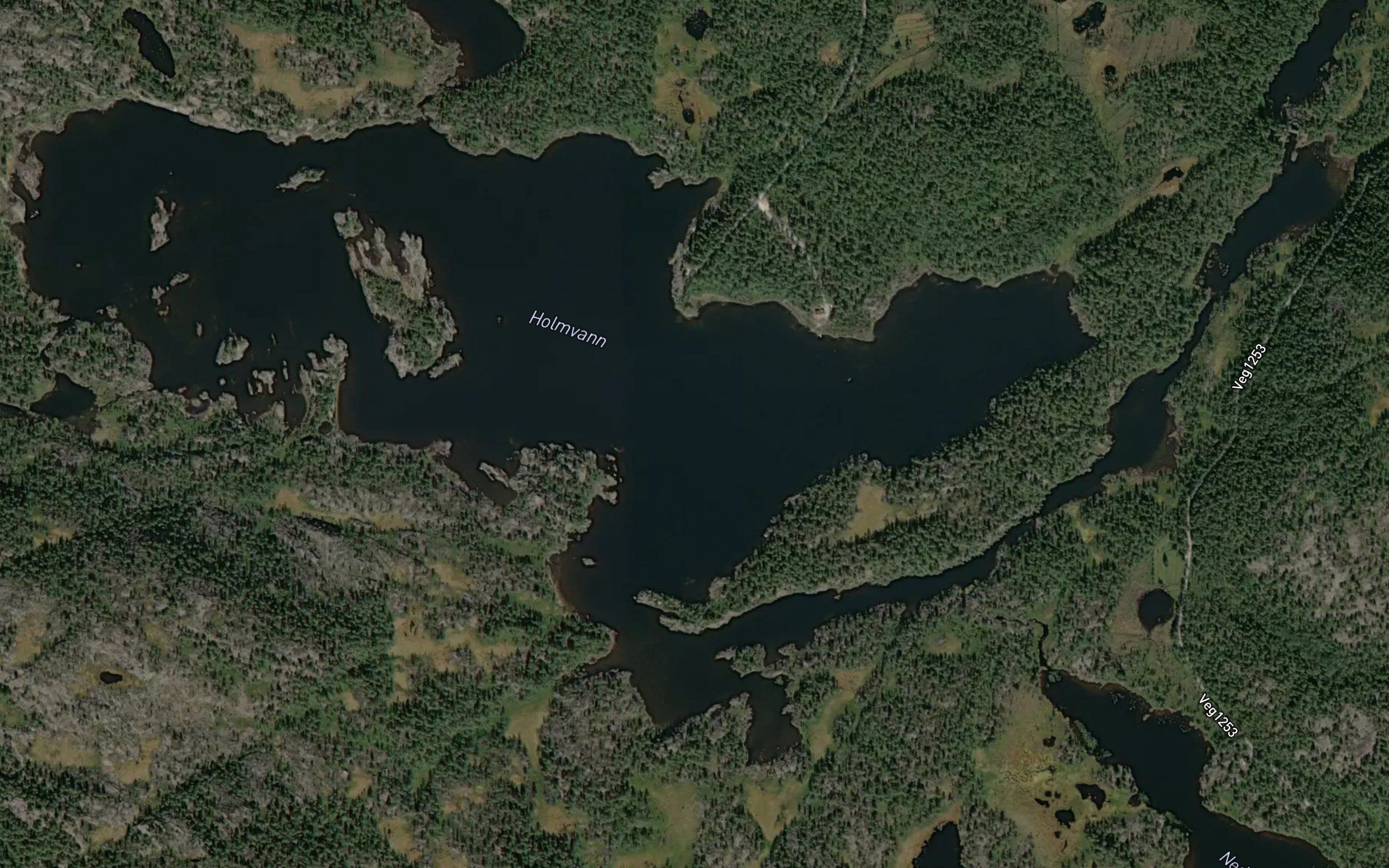 Holmevatnet