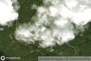 Pleasant Lake Stream