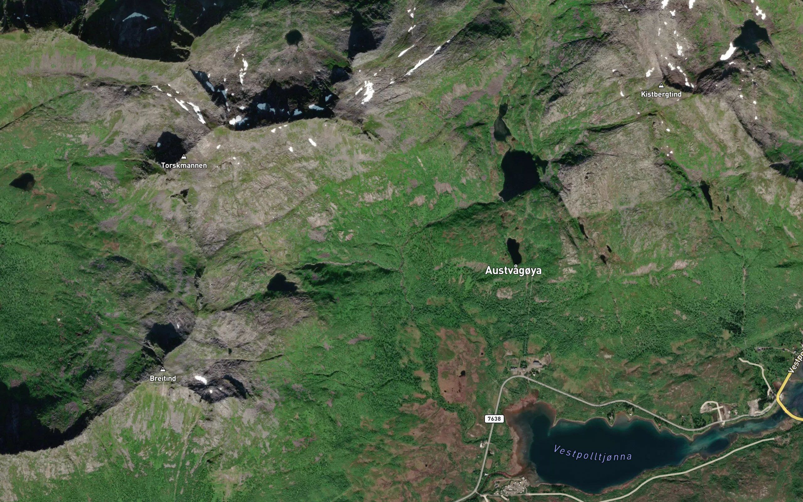 Kvitforselva