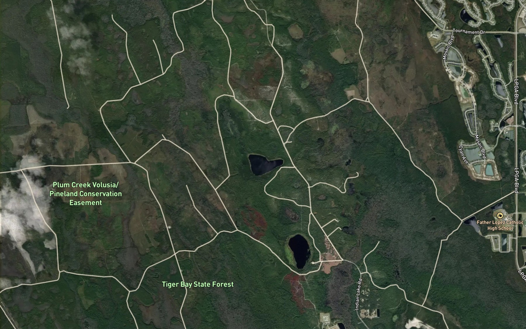 Satellite map of the Scoggin Lake