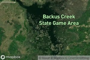 Backus Creek Flooding