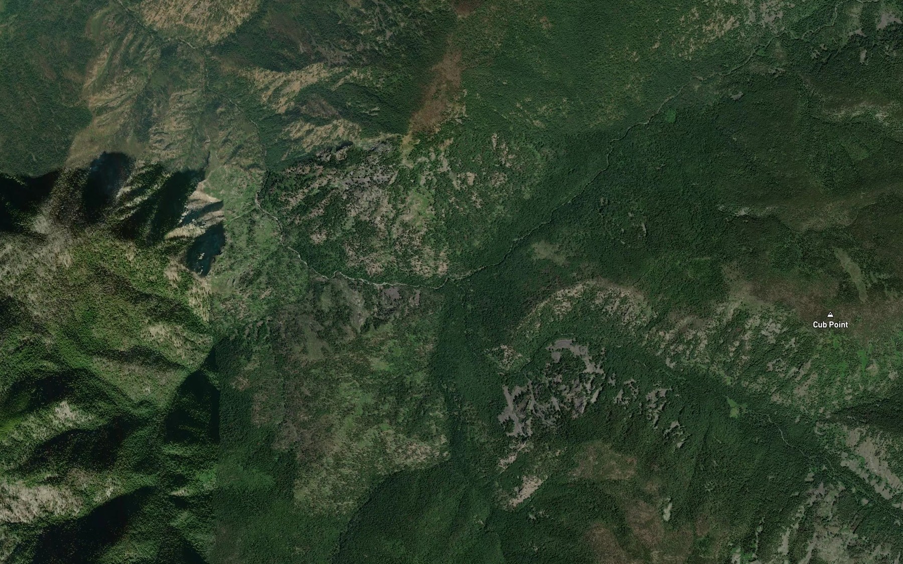 Satellite map of the Brushy Fork Creek