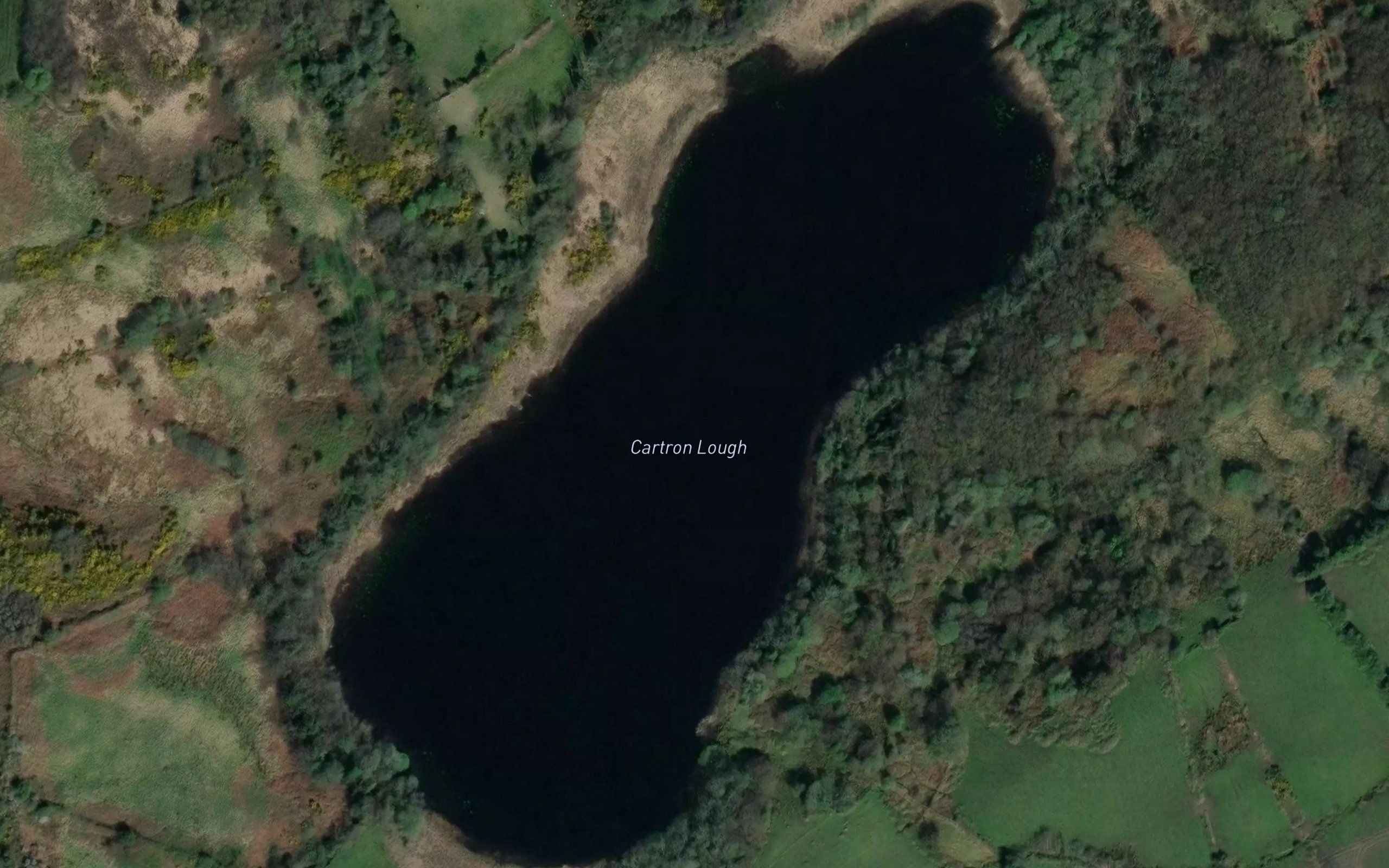 Cartron Lough