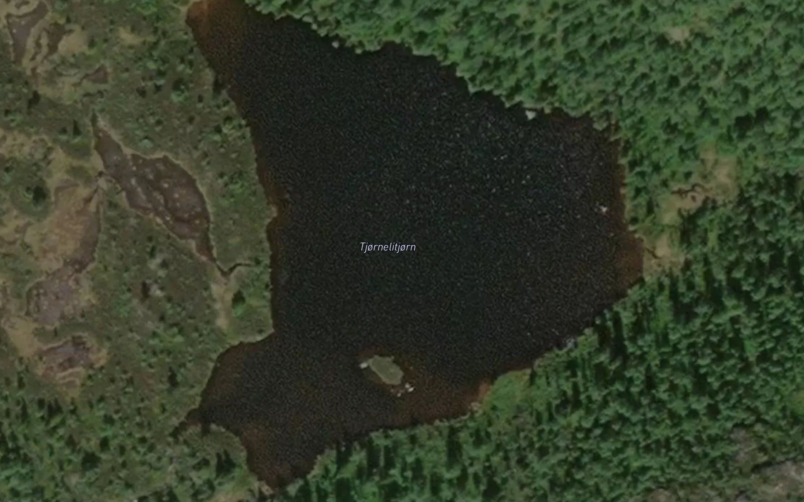 Tjornelitjorn