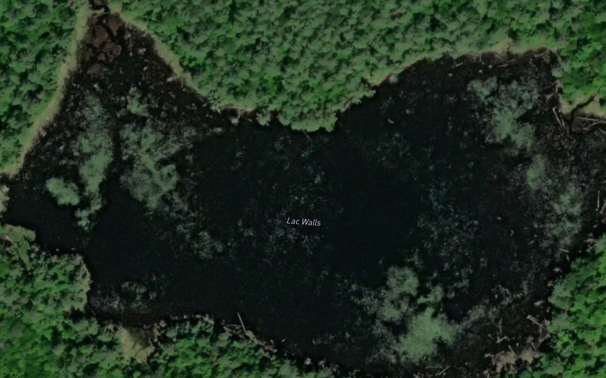 Lac Walls