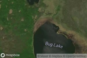 Bug Lake