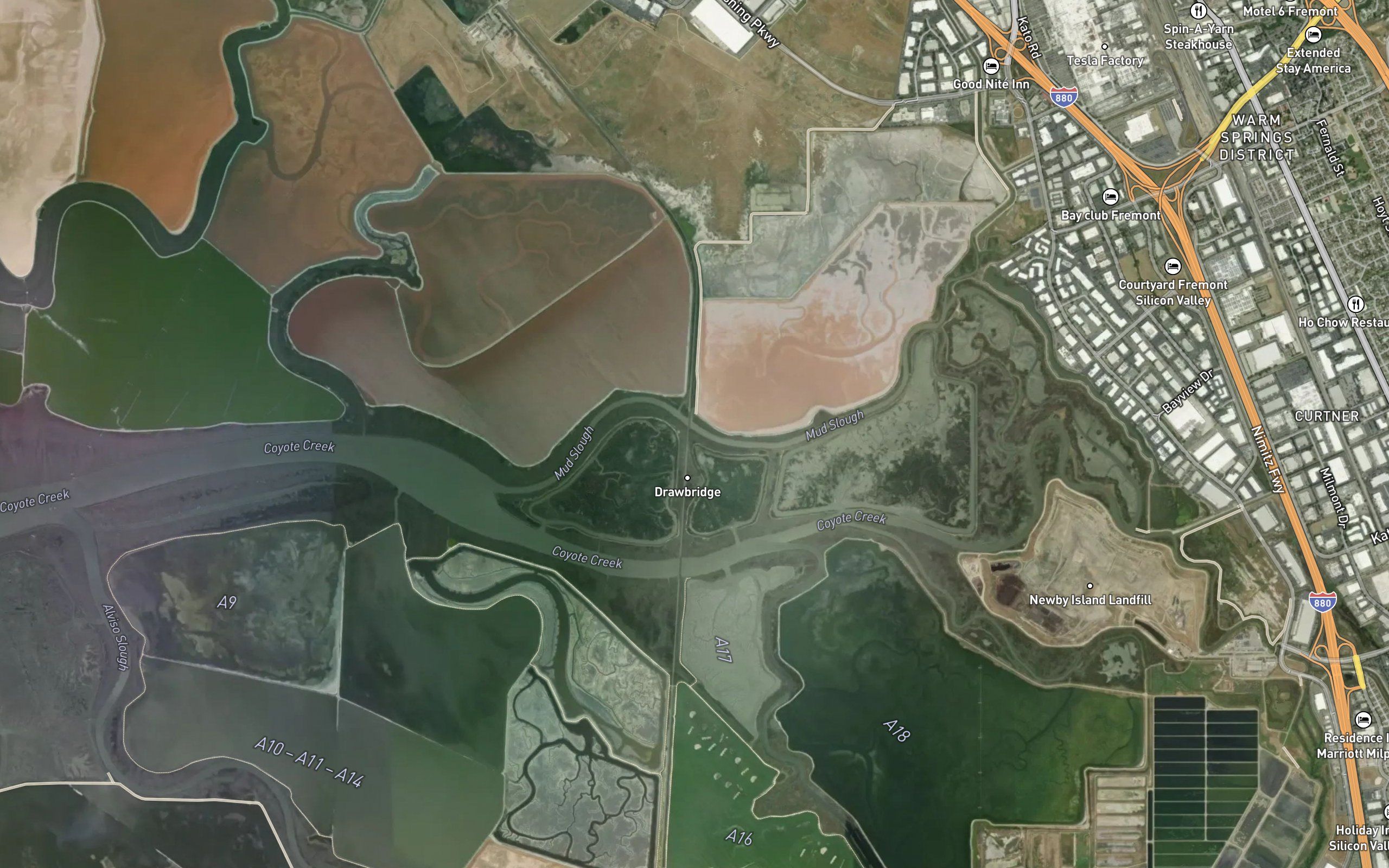 Mud Slough
