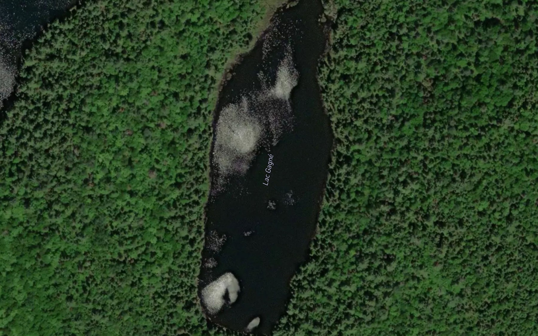 Satellite map of the Lac Gagne