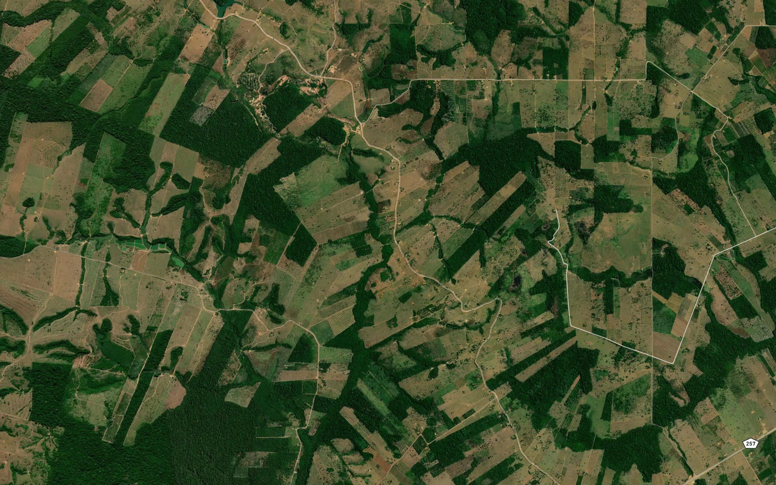 Igarape Primavera