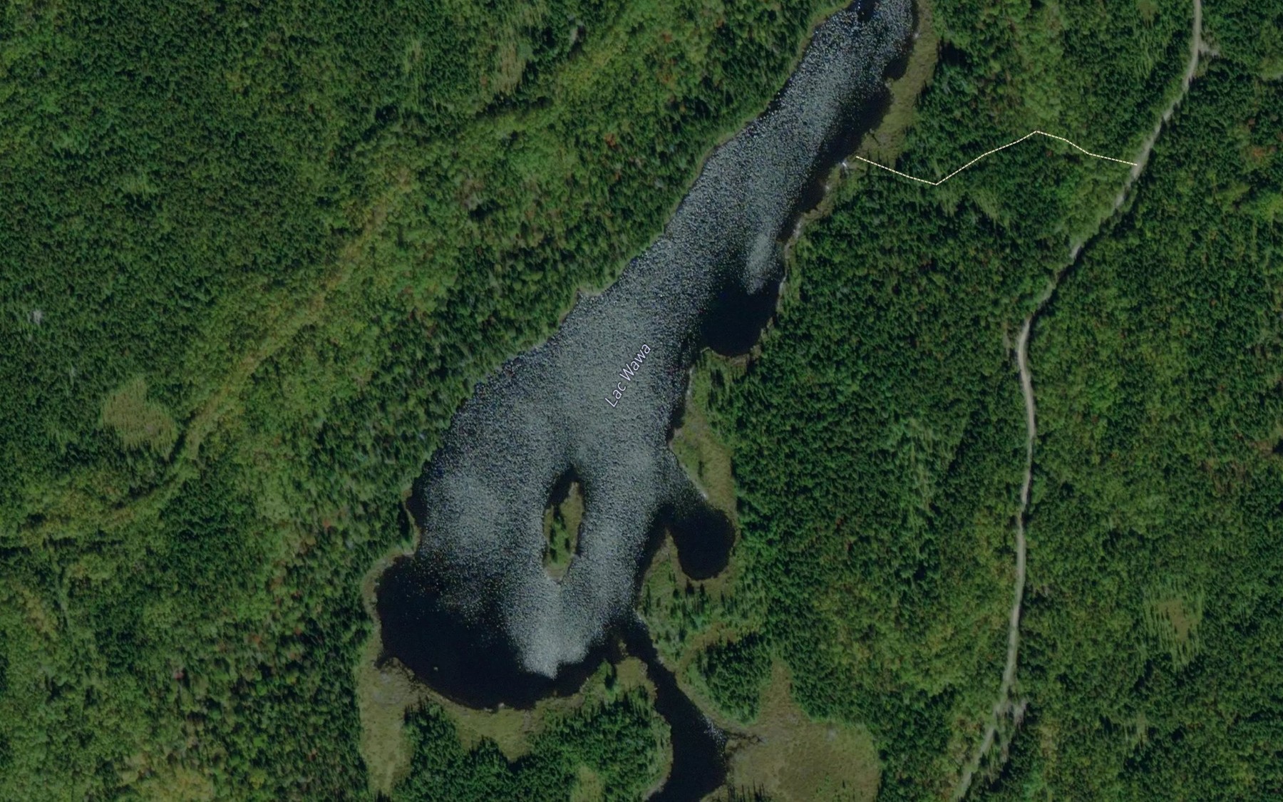 Satellite map of the Lac Wawa