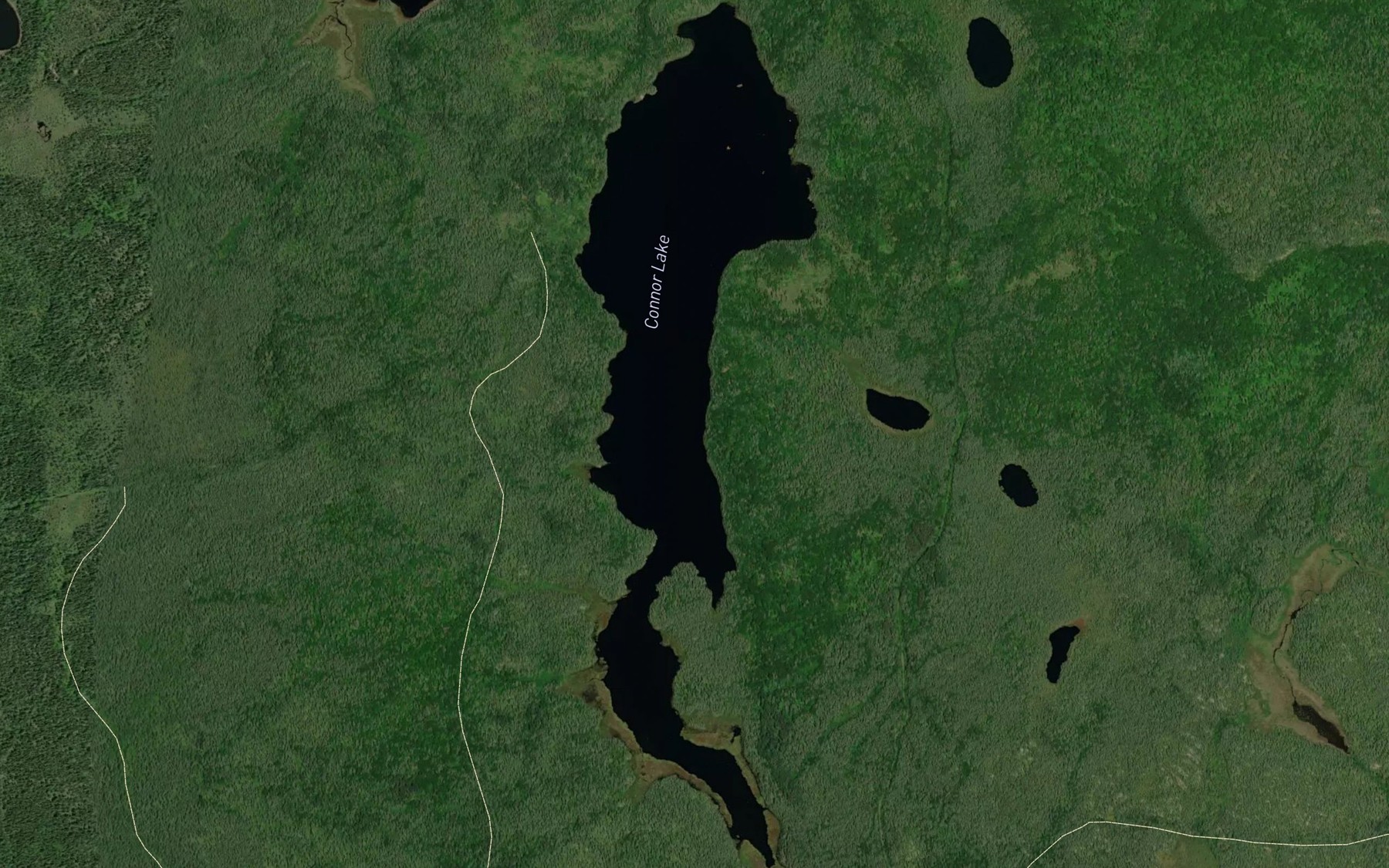 Satellite map of the Connor Lake