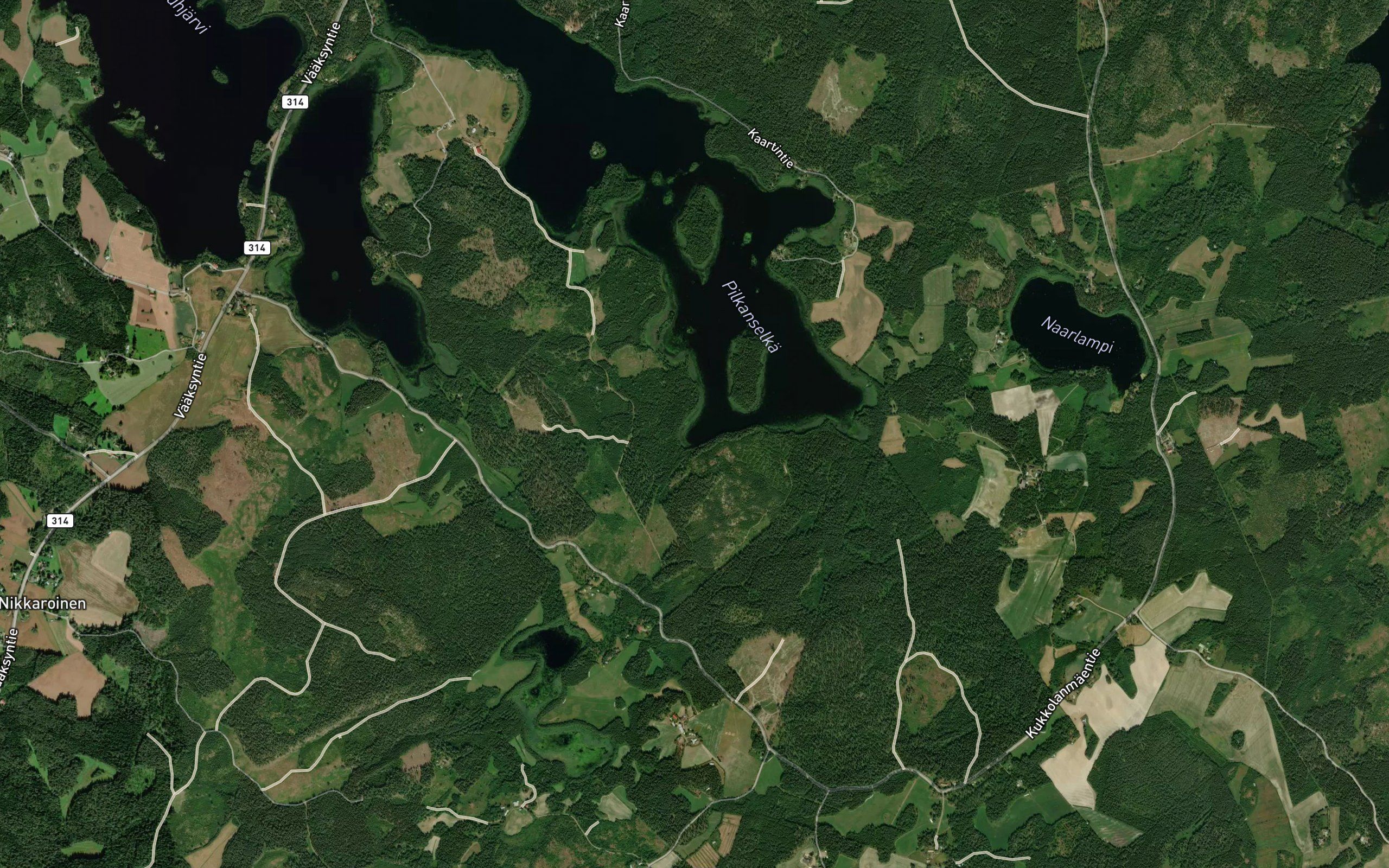 Tiensuunlahti