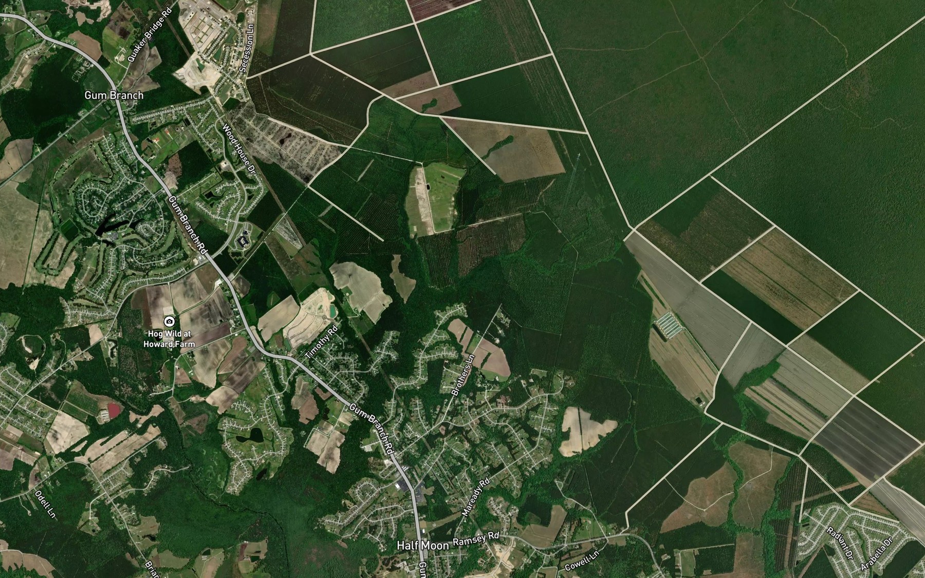 Satellite map of the Huffmans Branch