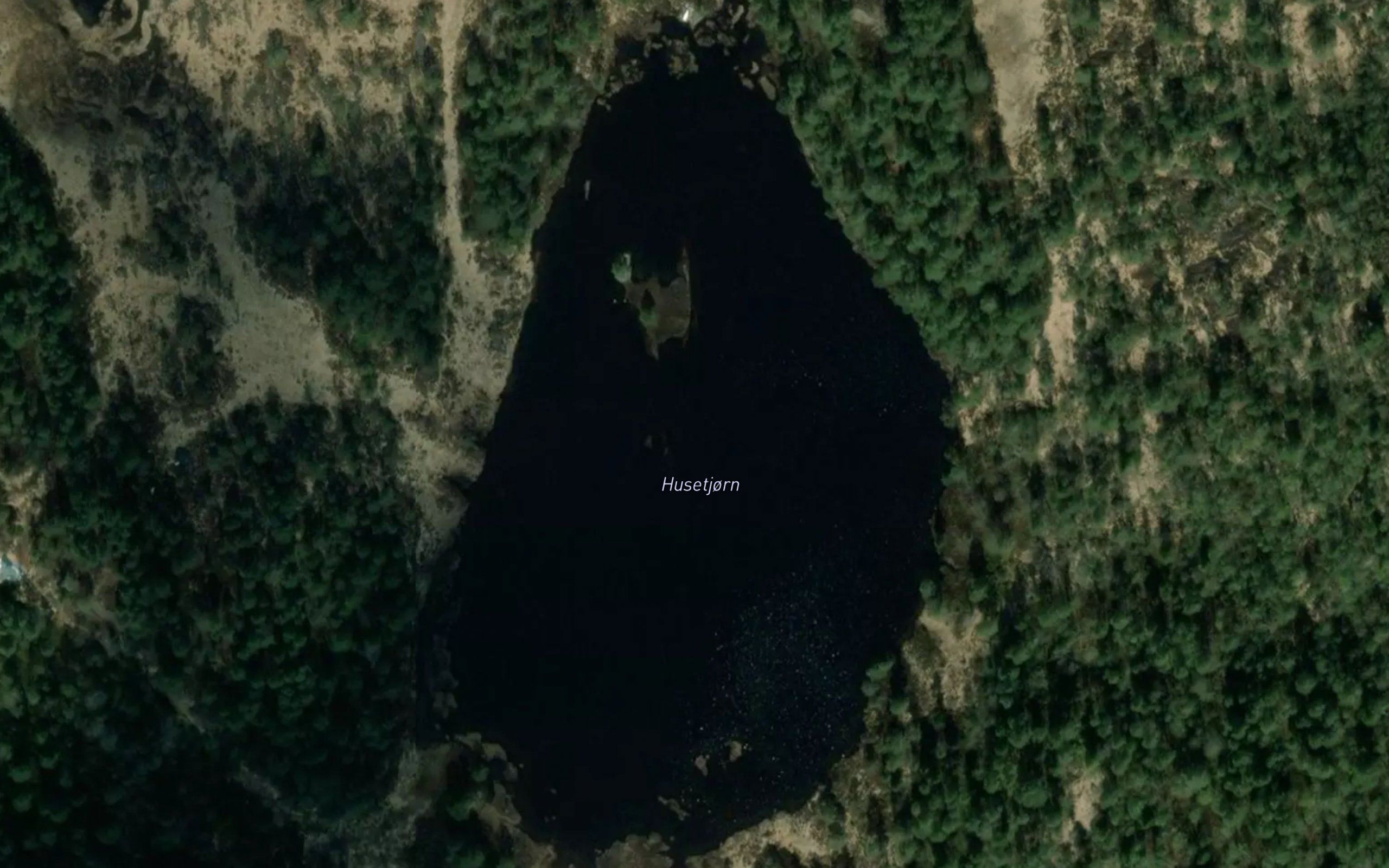 Husetjorn