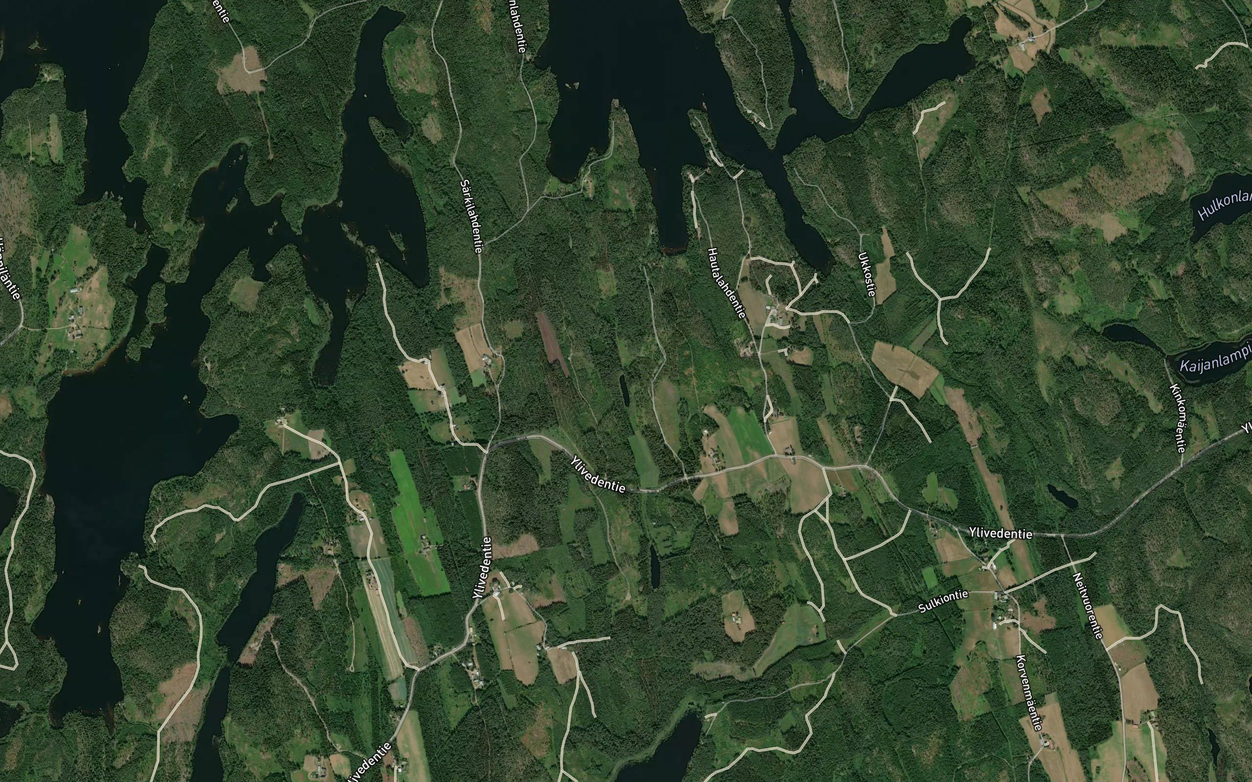 Harkalampi