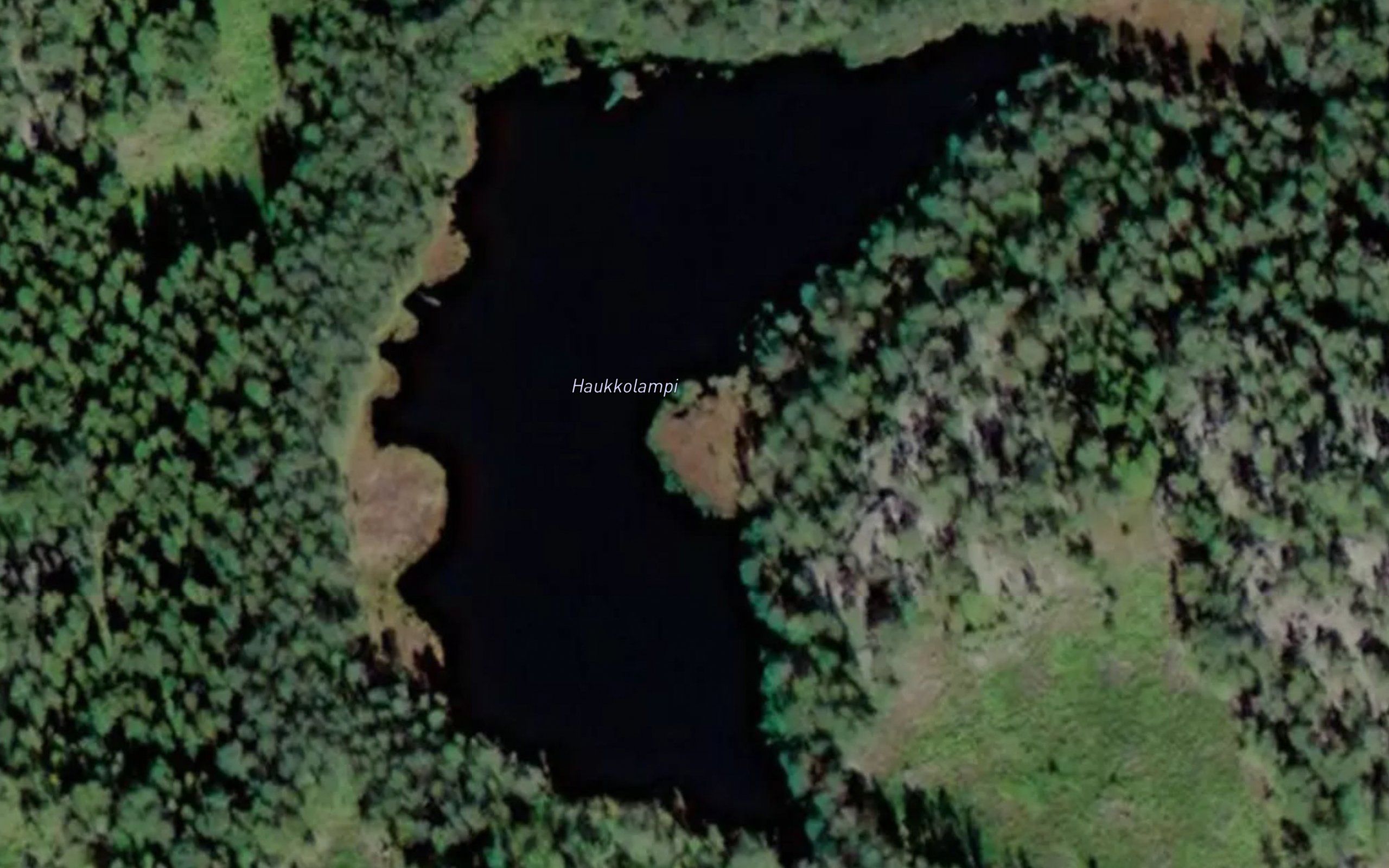 Haukkolampi