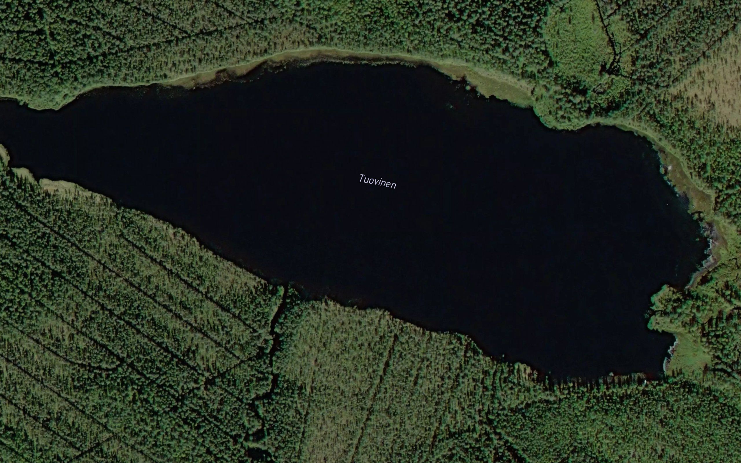 Tuovinen