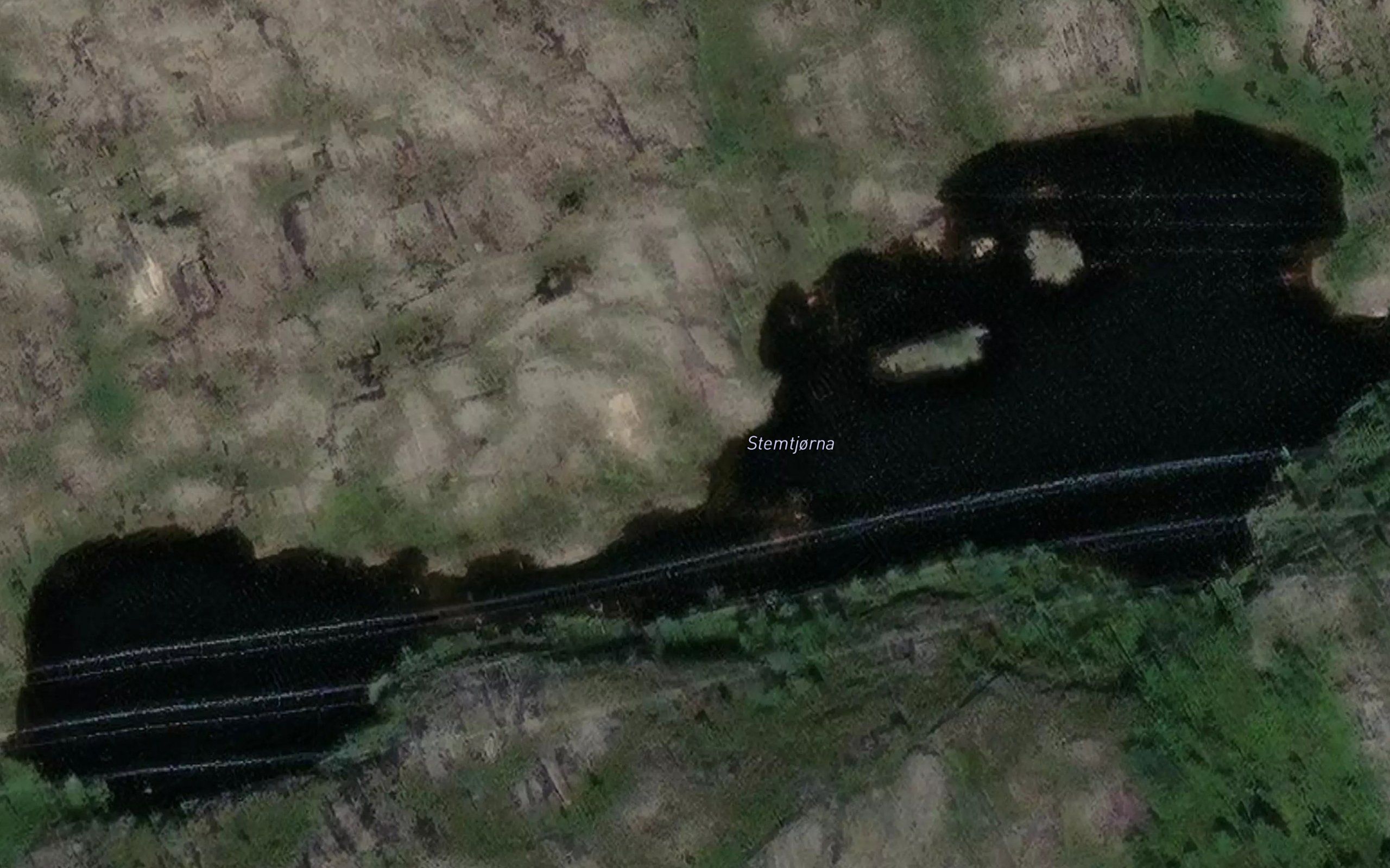 Stemtjorna