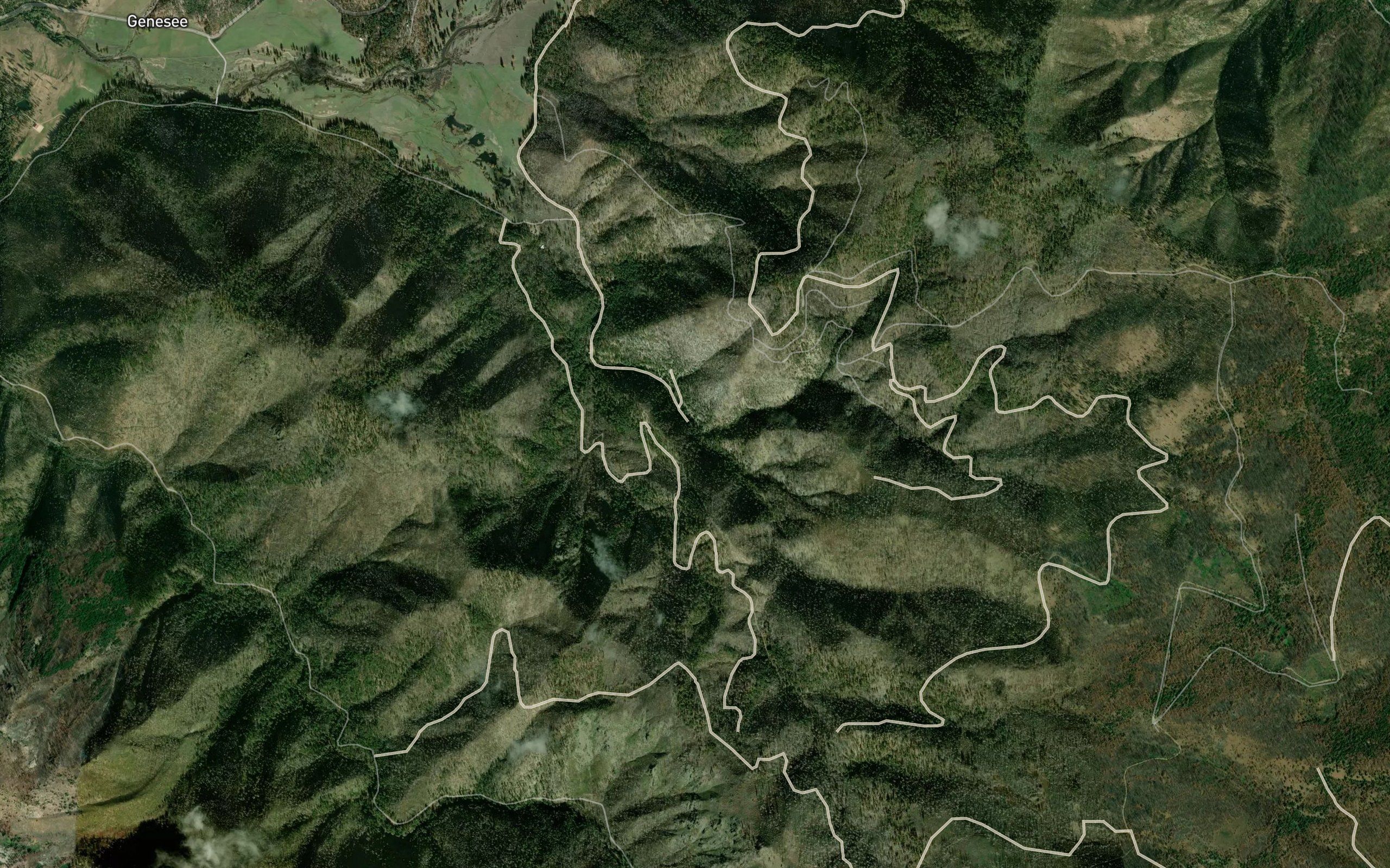 South Branch Ward Creek