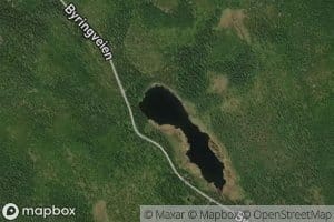 Byringstjornene