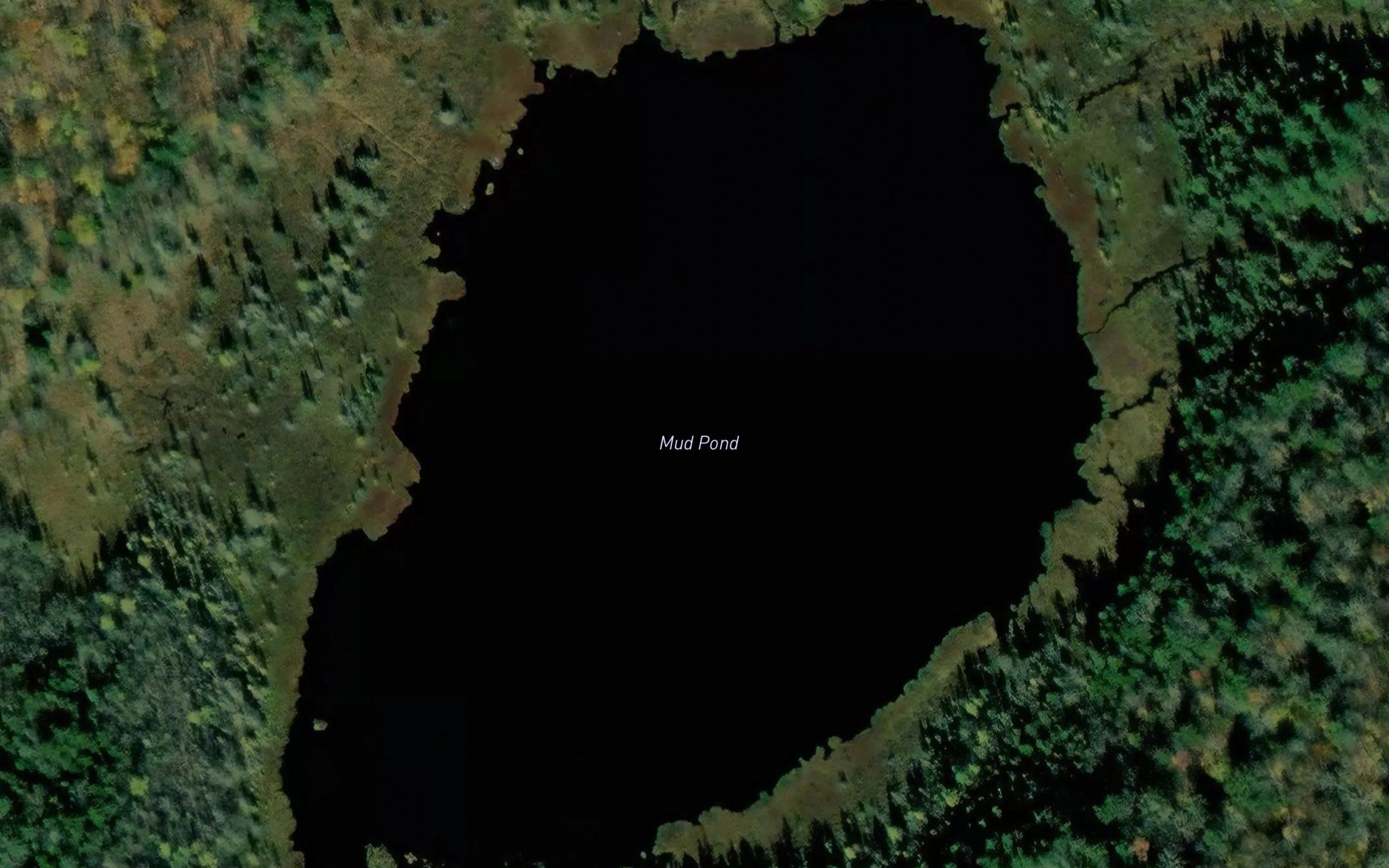 Mud Pond
