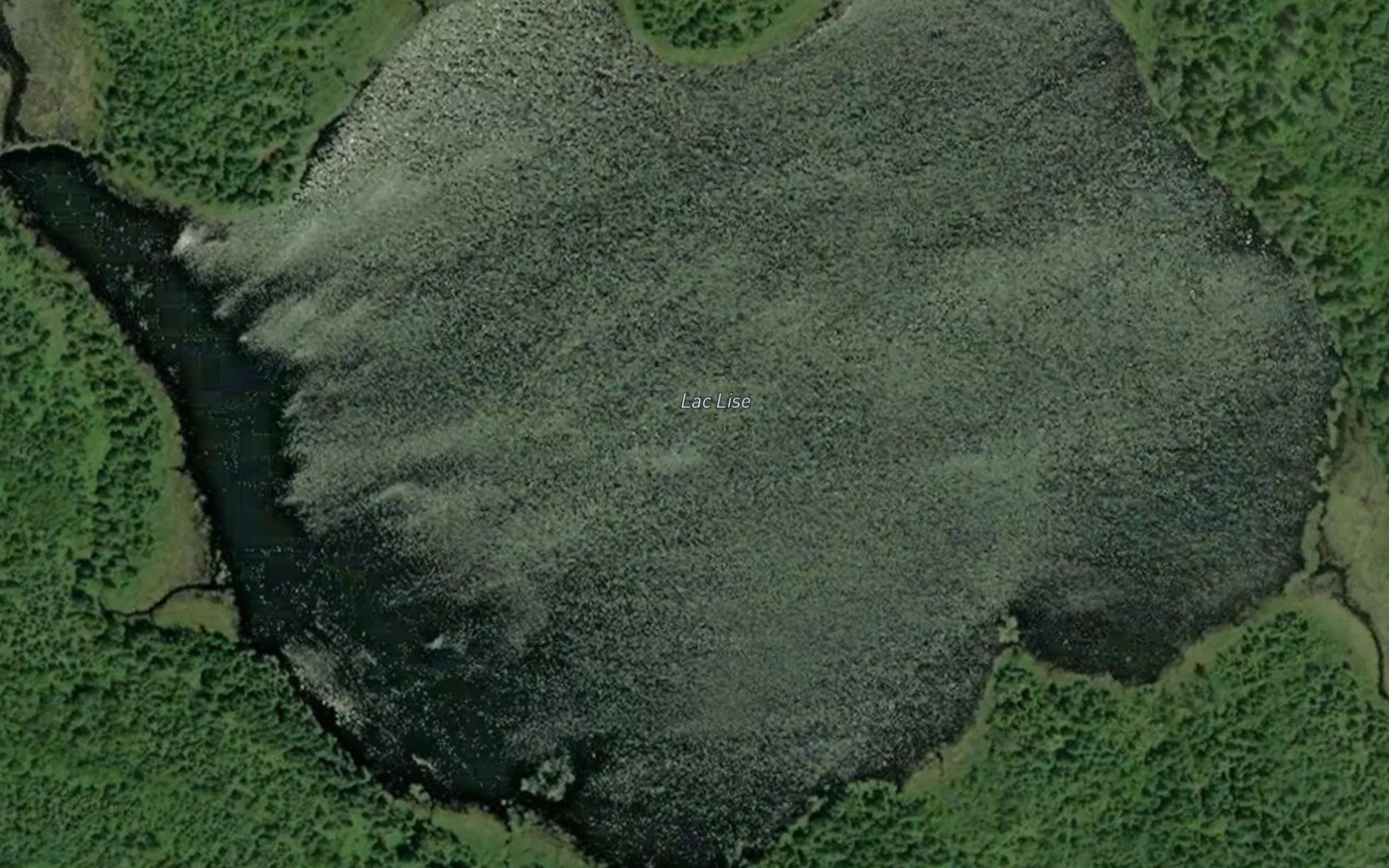 Lac Lise