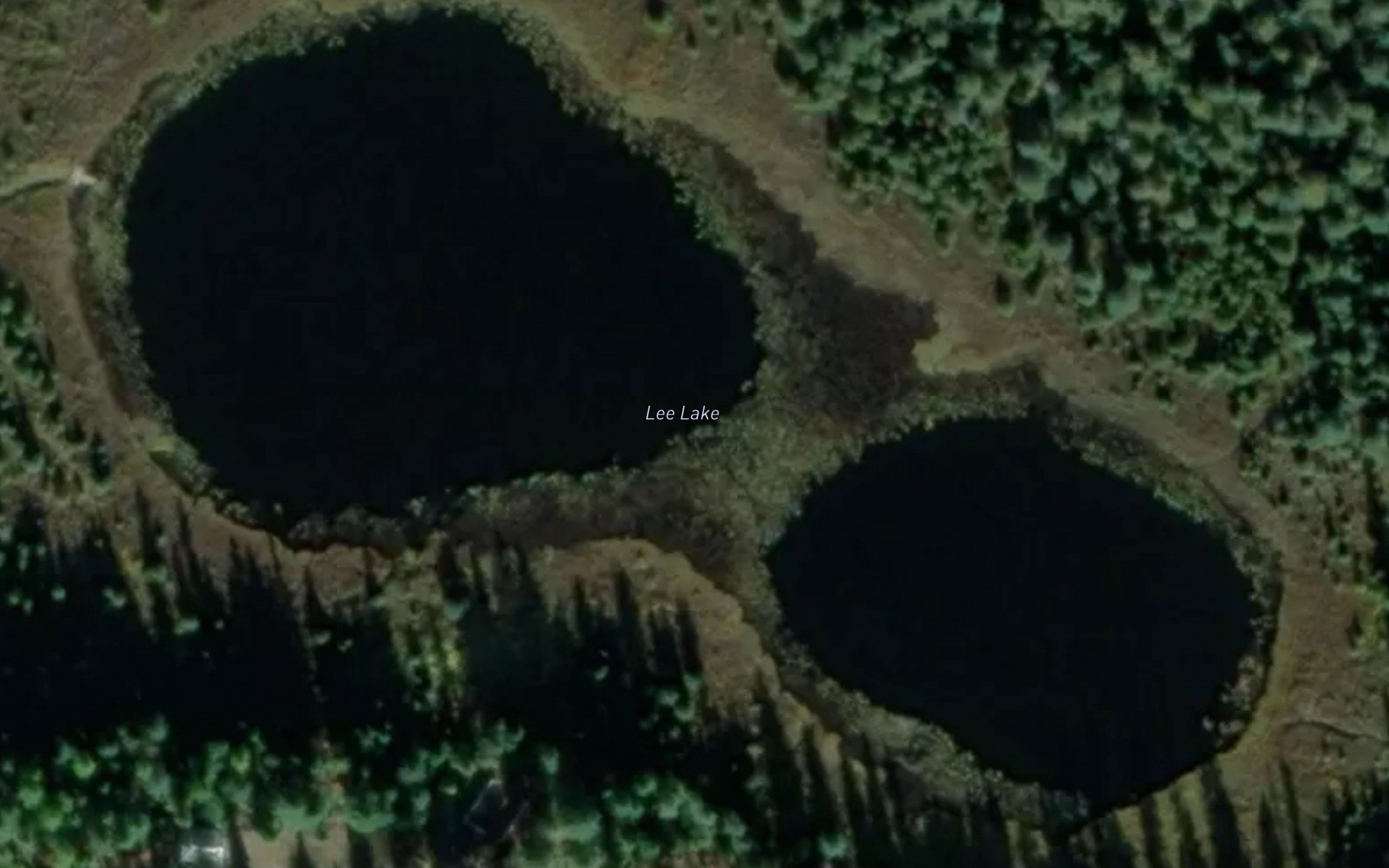 Lee Lake