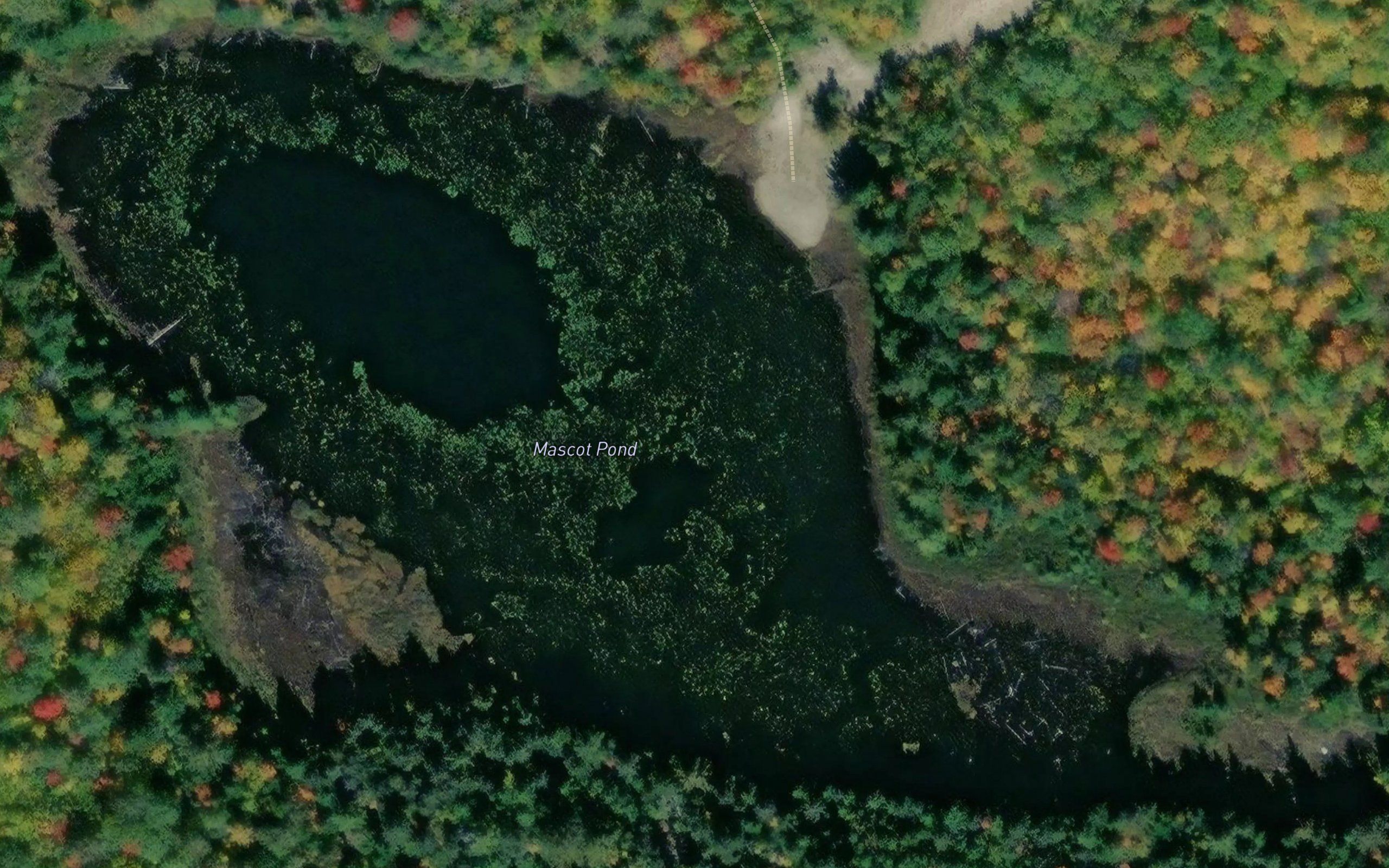Mascot Pond