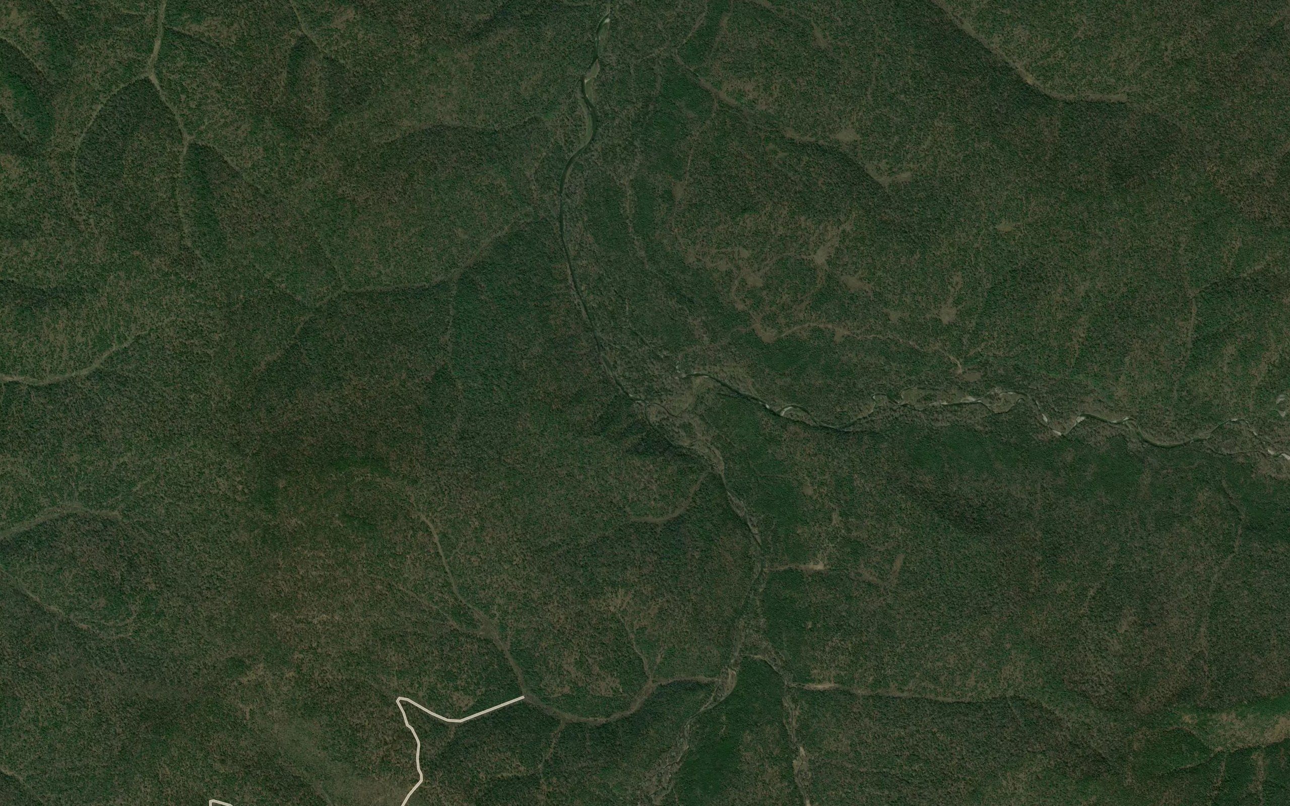 Dzava
