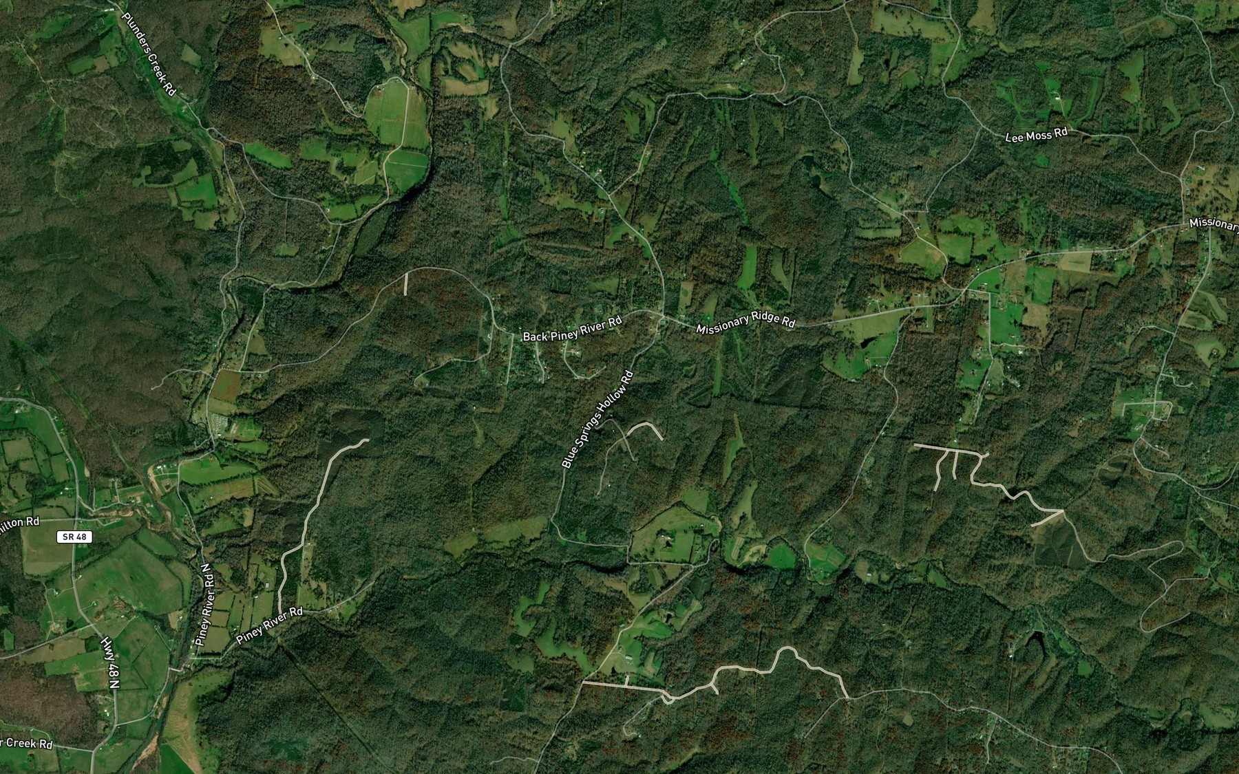 Satellite map of the Blue Spring