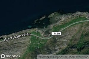 Finnkonevika