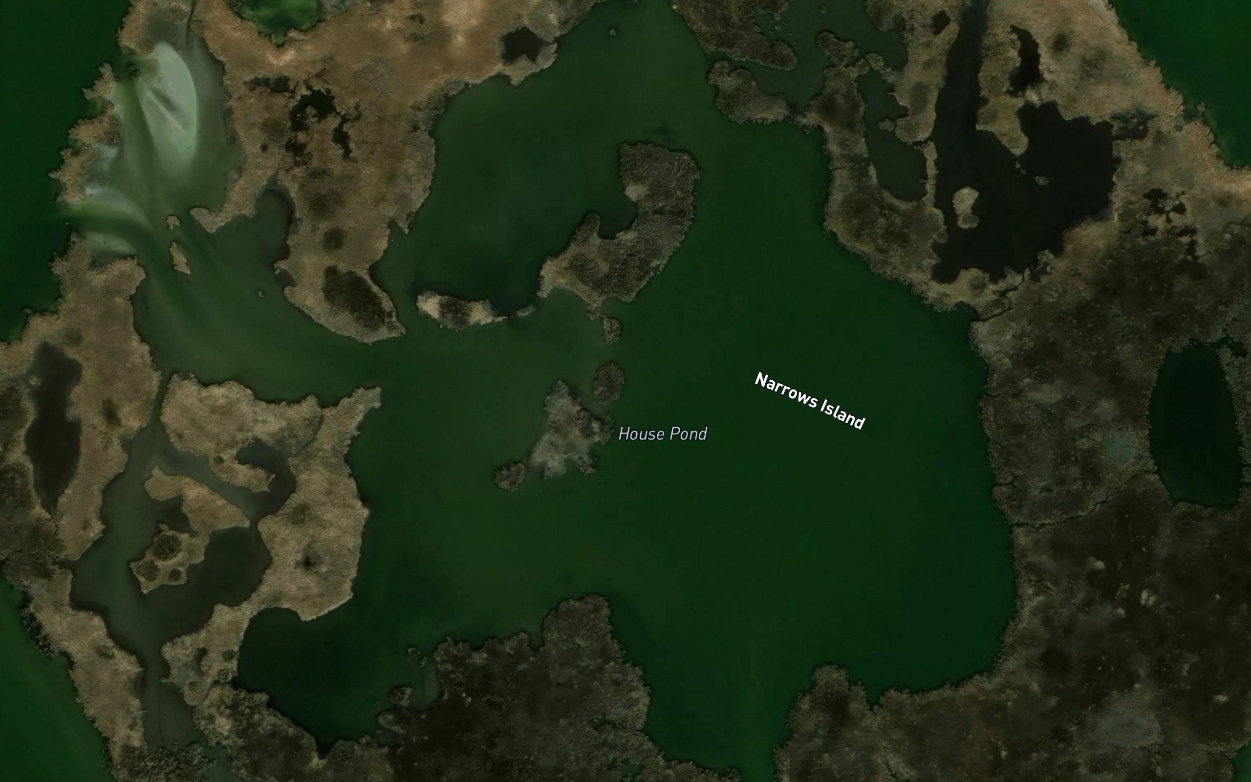 House Pond