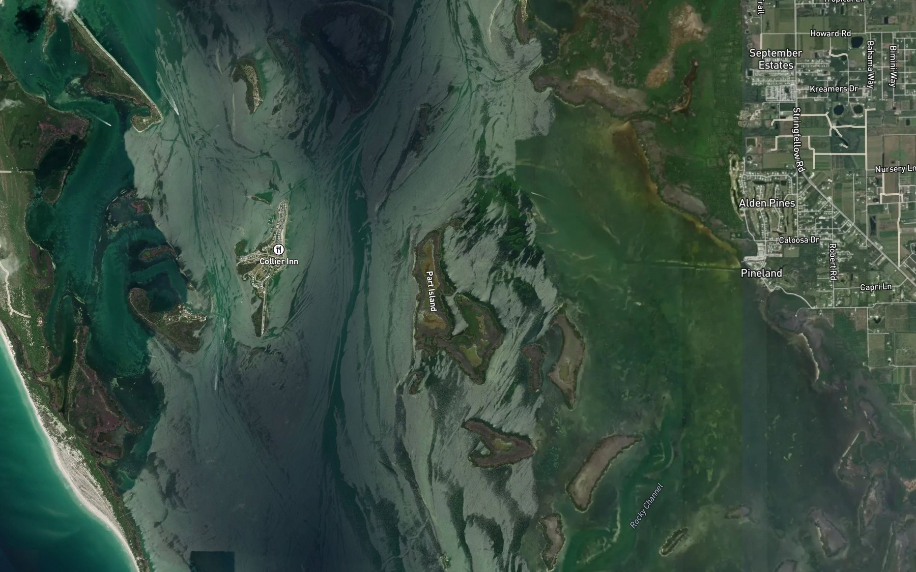 Satellite map of the Water Turkey Bayou