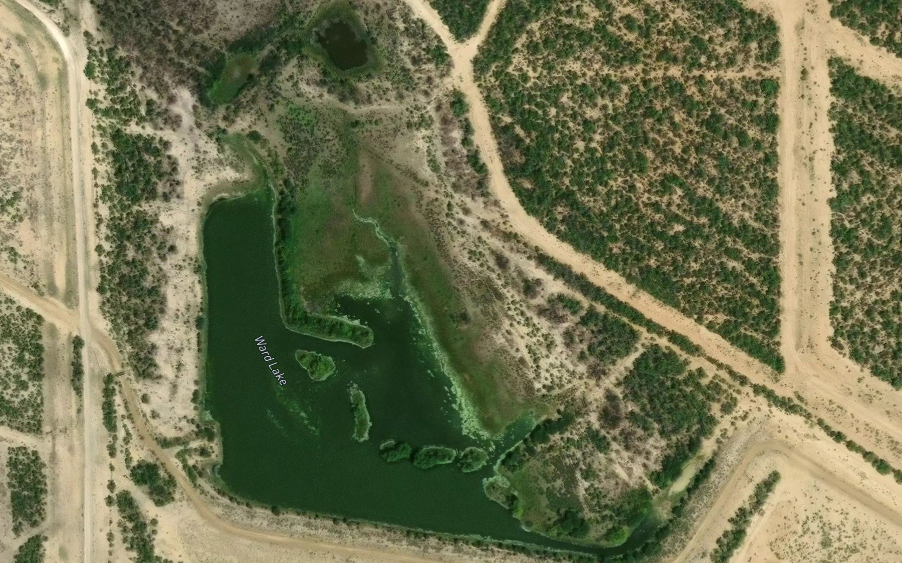 Satellite map of the Ward Lake