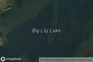 Big Lily Lake