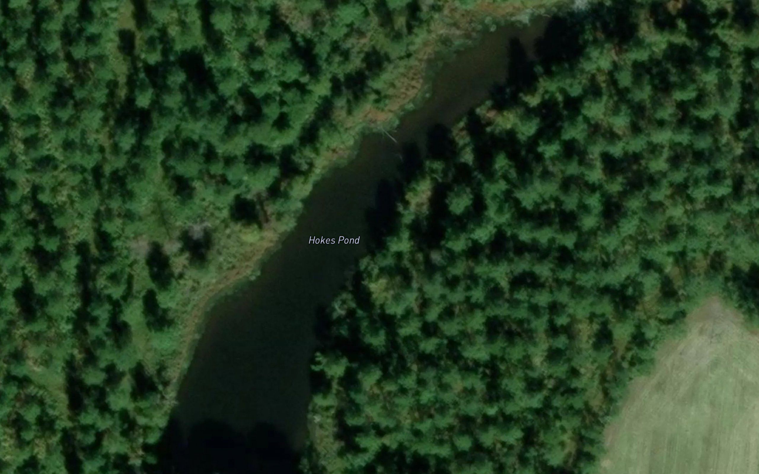 Hokes Pond