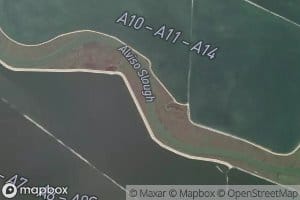 Alviso Slough