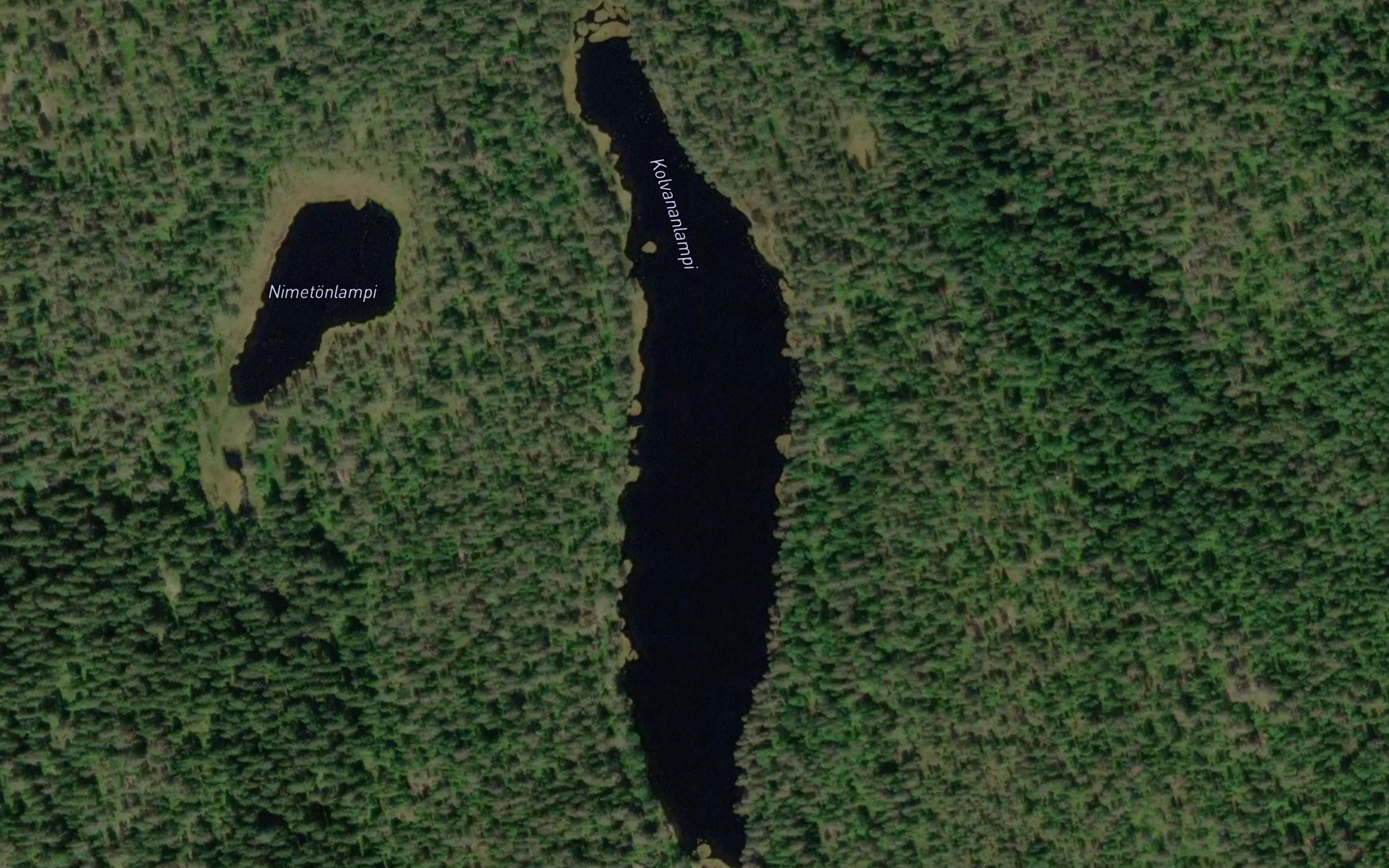 Kolvananlampi