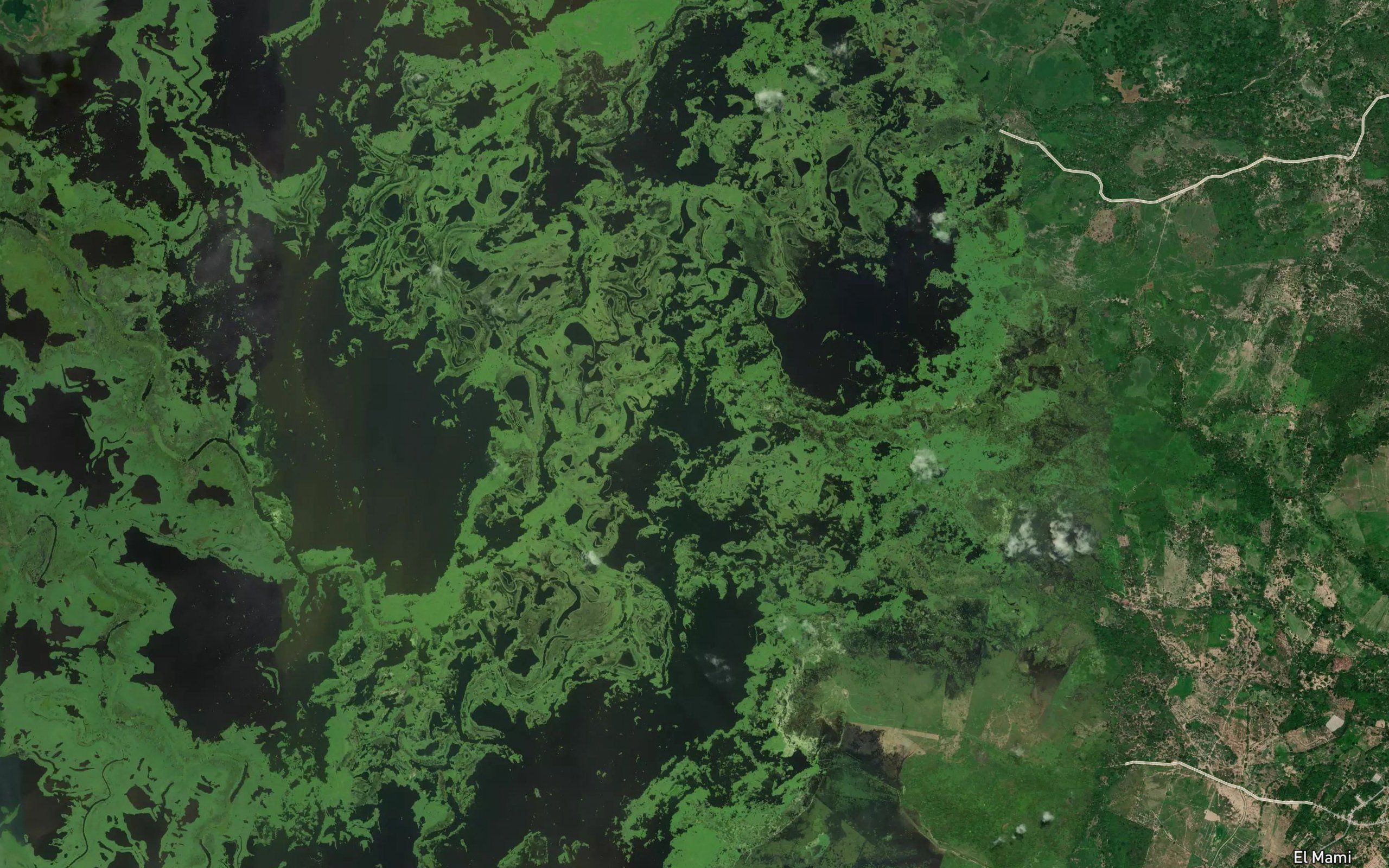 Cienaga El Cucharo
