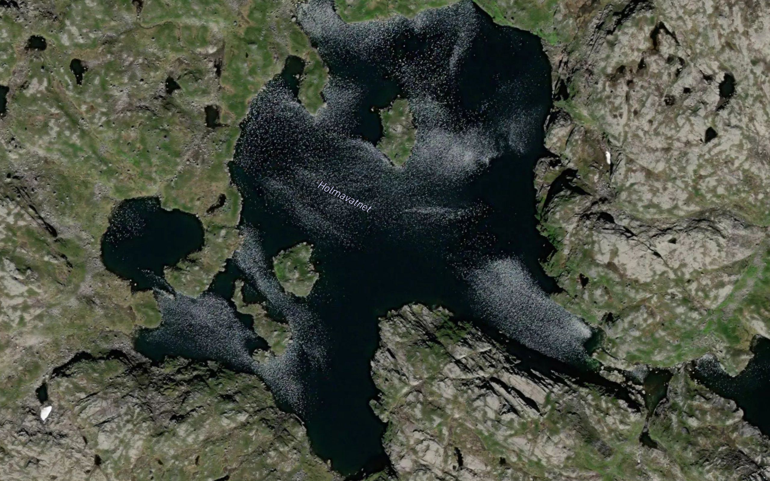 Holmavatnet