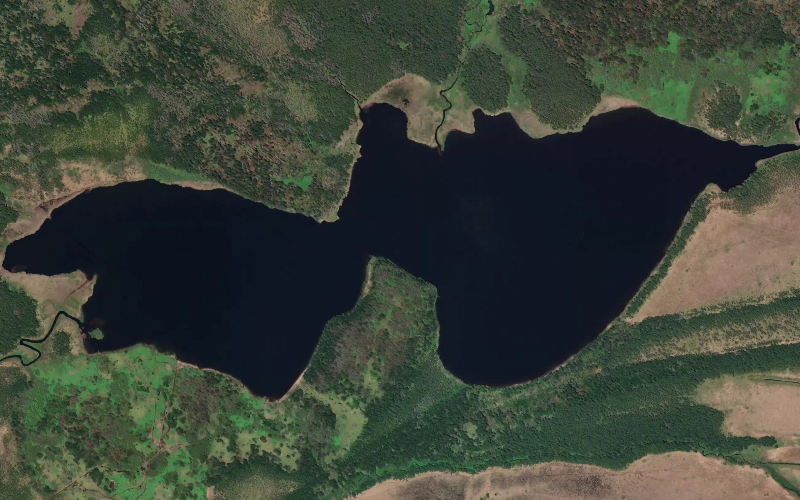 Ozero Serebryanoye