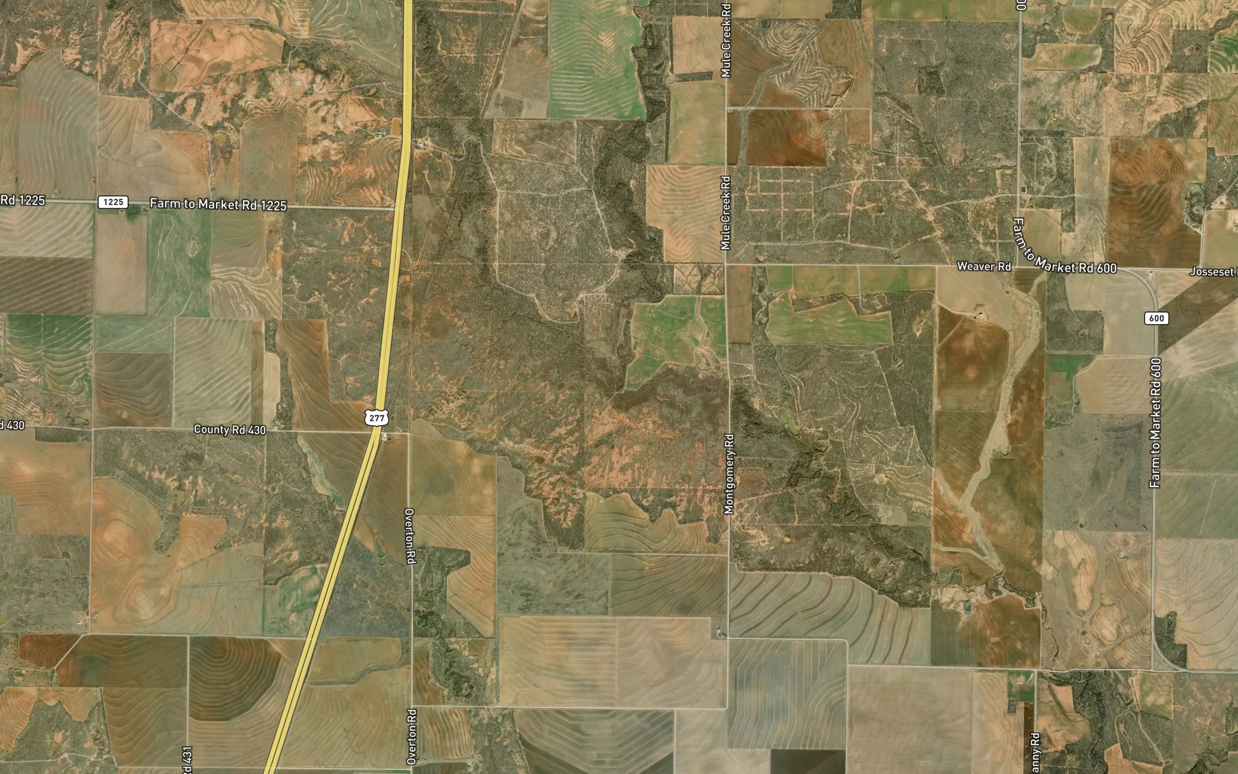 Satellite map of the Rice Springs Branch