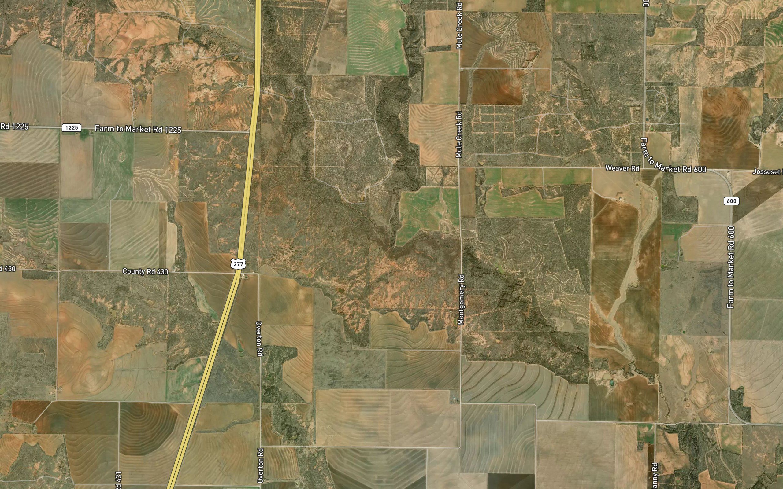 Rice Springs Branch
