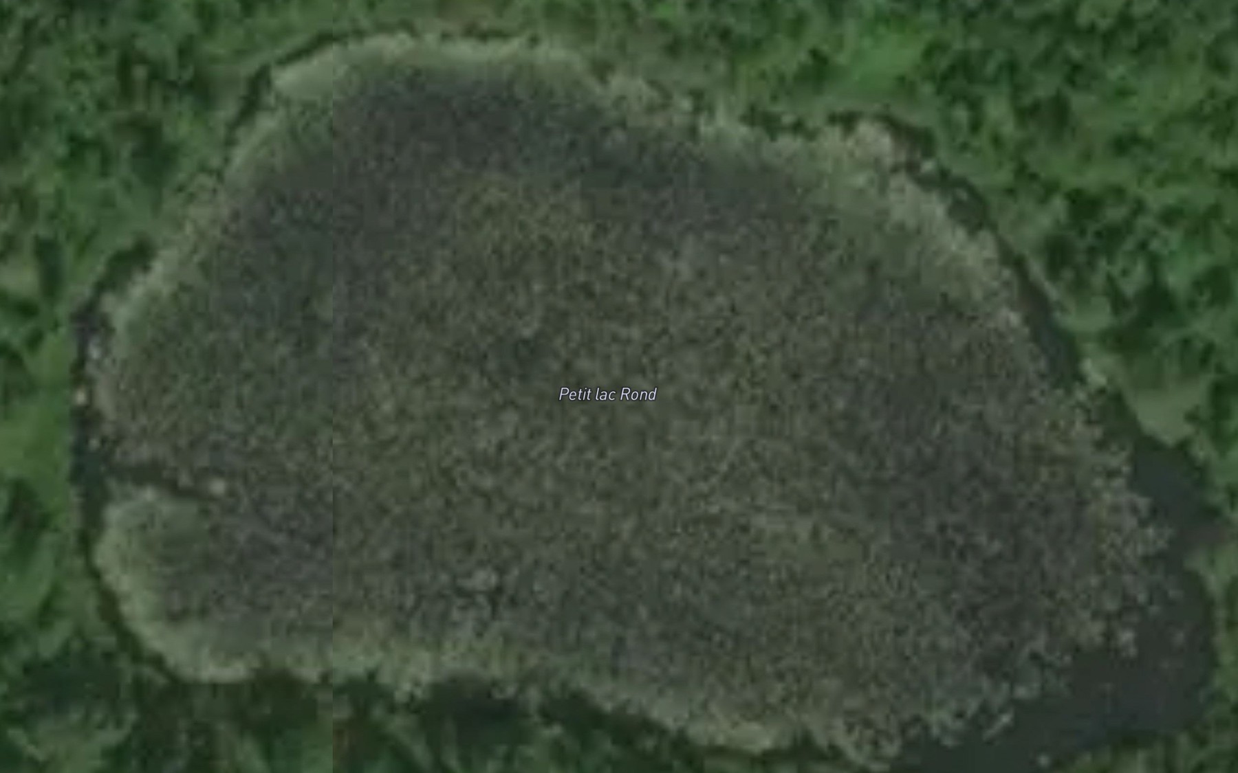 Satellite map of the Petit lac Rond
