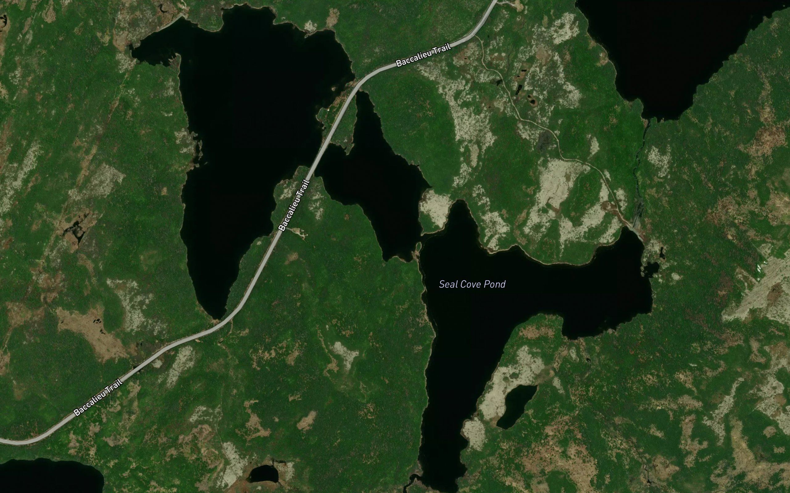 Seal Cove Pond