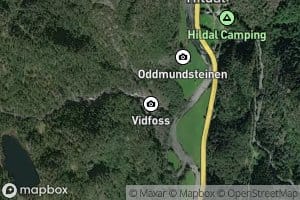 Vidfoss